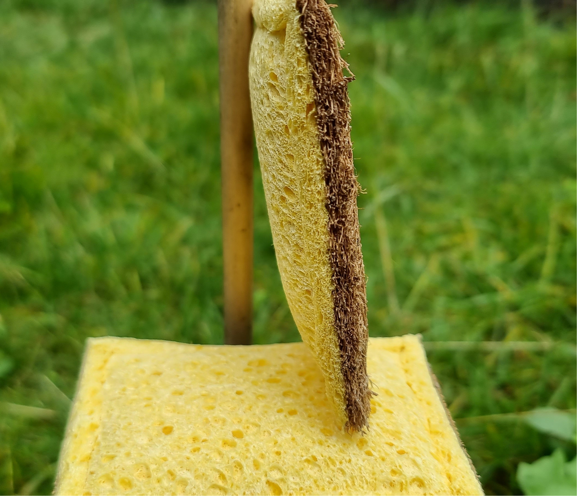 biodegradable dish sponge