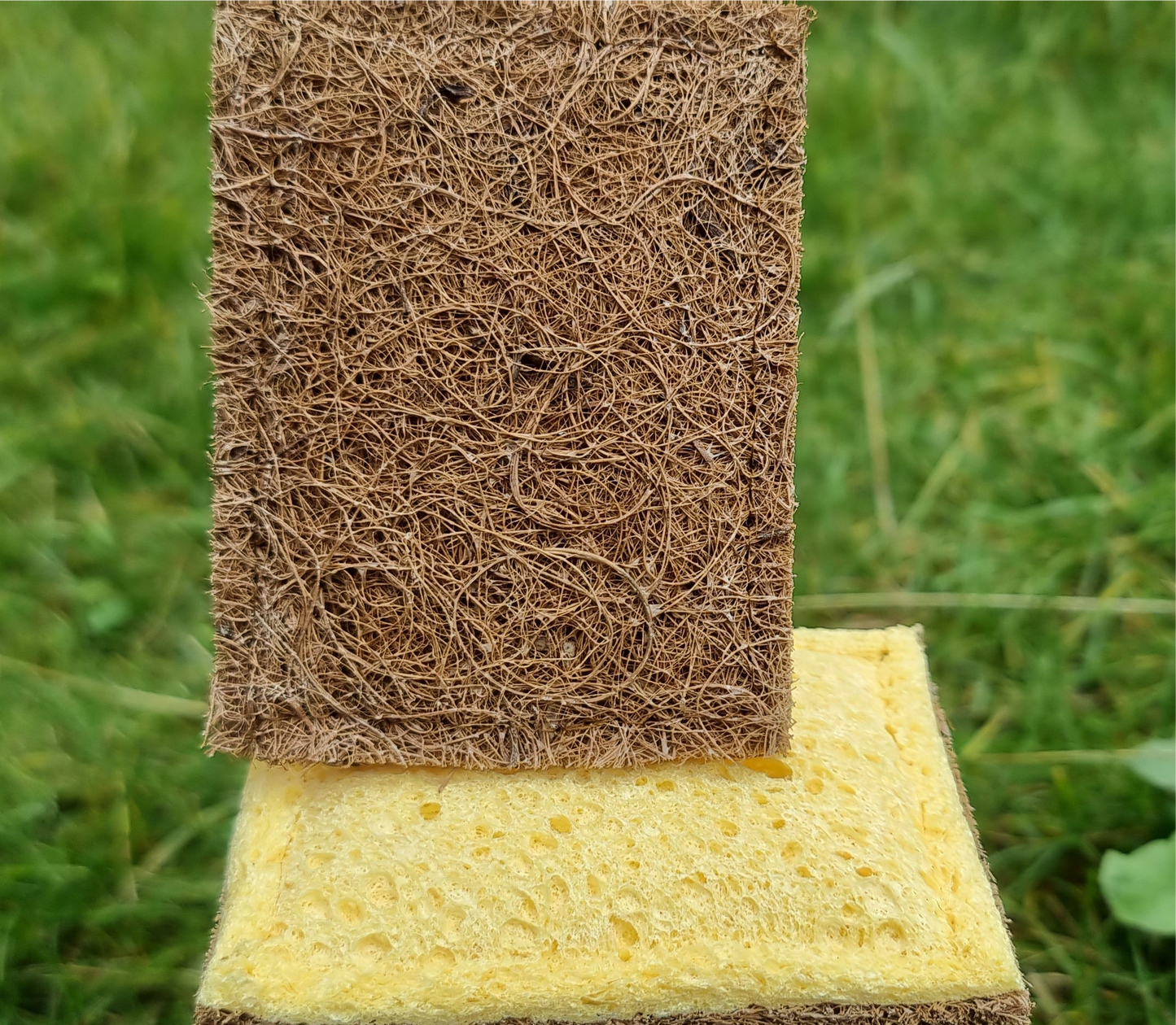 sustainable dish sponge