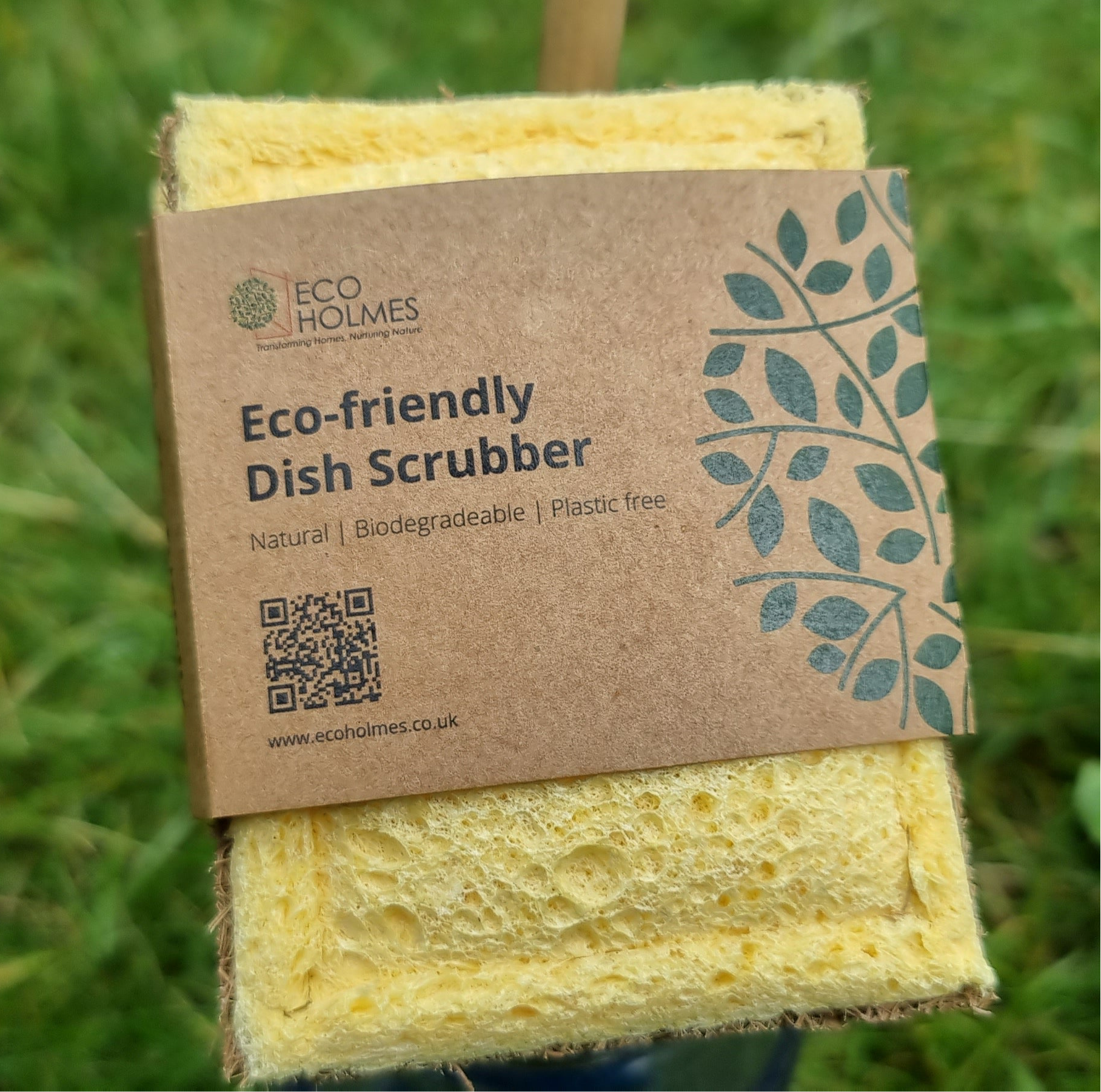 Eco-friendly dish sponge