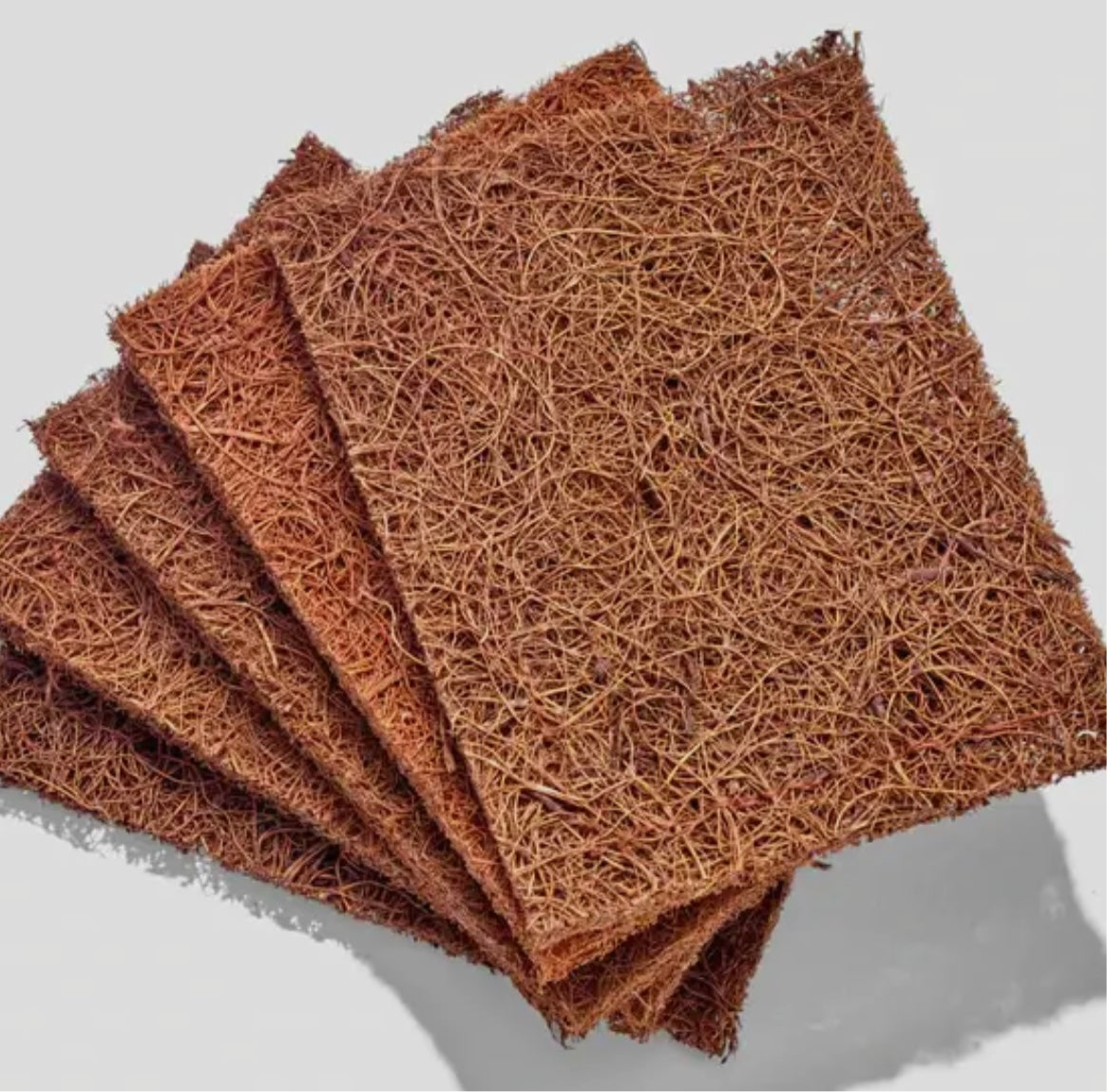 Biodegradable Coconut Scourers-5 Pack