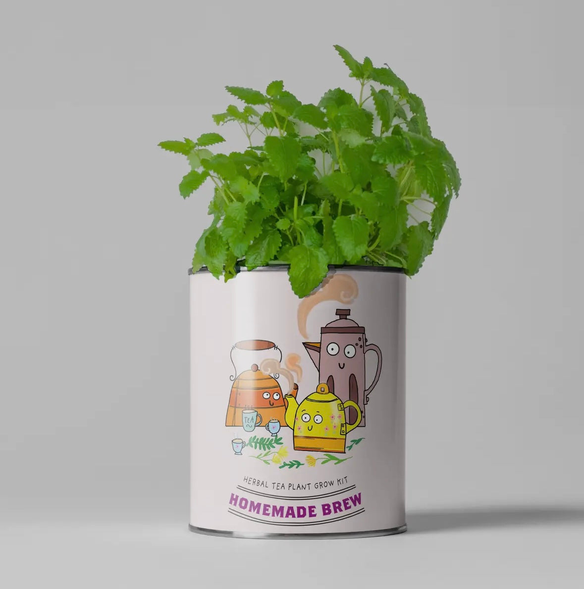 Easy Gardening Kit with Step-by-Step Instructions and Biodegradable Pots