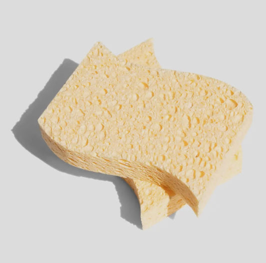 Biodegradable Kitchen Sponge - Eco-Friendly and Effective for Dish Cleaning