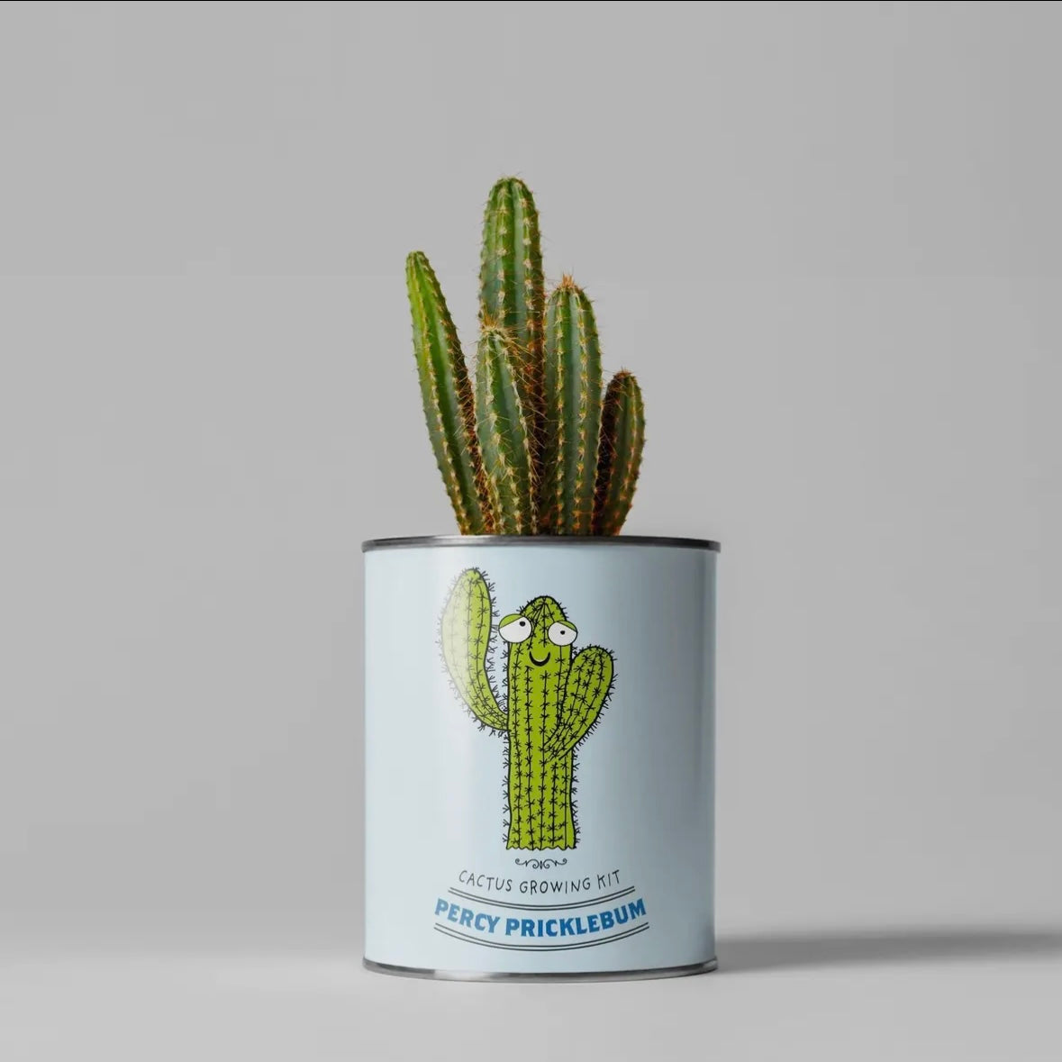 Cactus Growing Kit for Sustainable Home Gardens